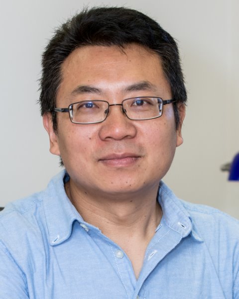 Sheldon (Xiaodong) Du