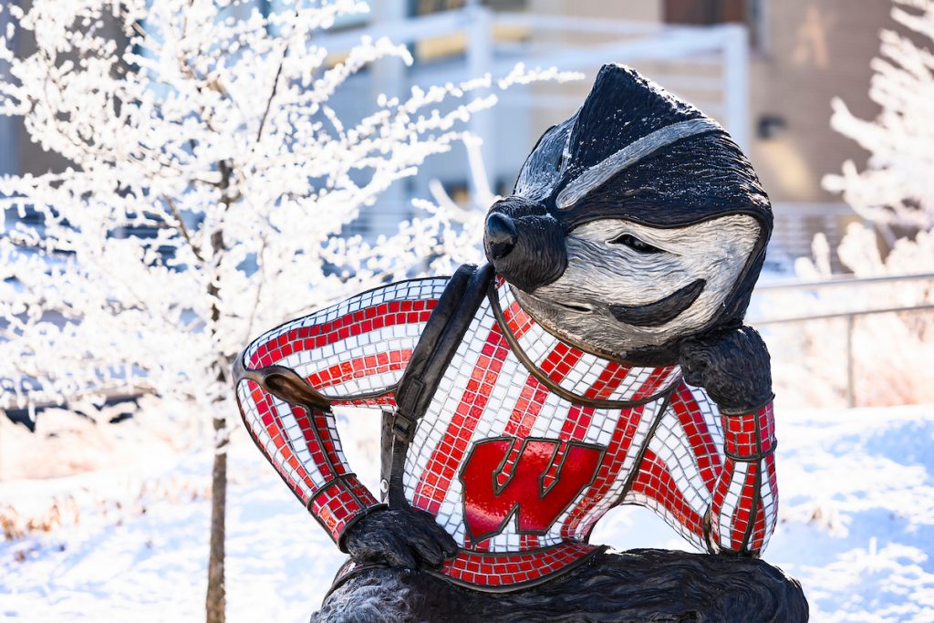 Bucky the Badger sculpture.