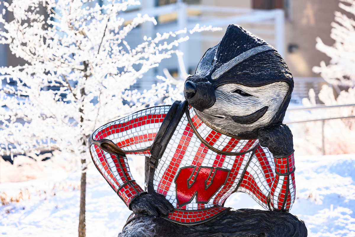 Sculpture of Bucky the Badger.