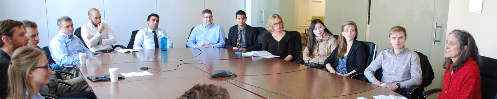 A group of people meeting around a conference table.
