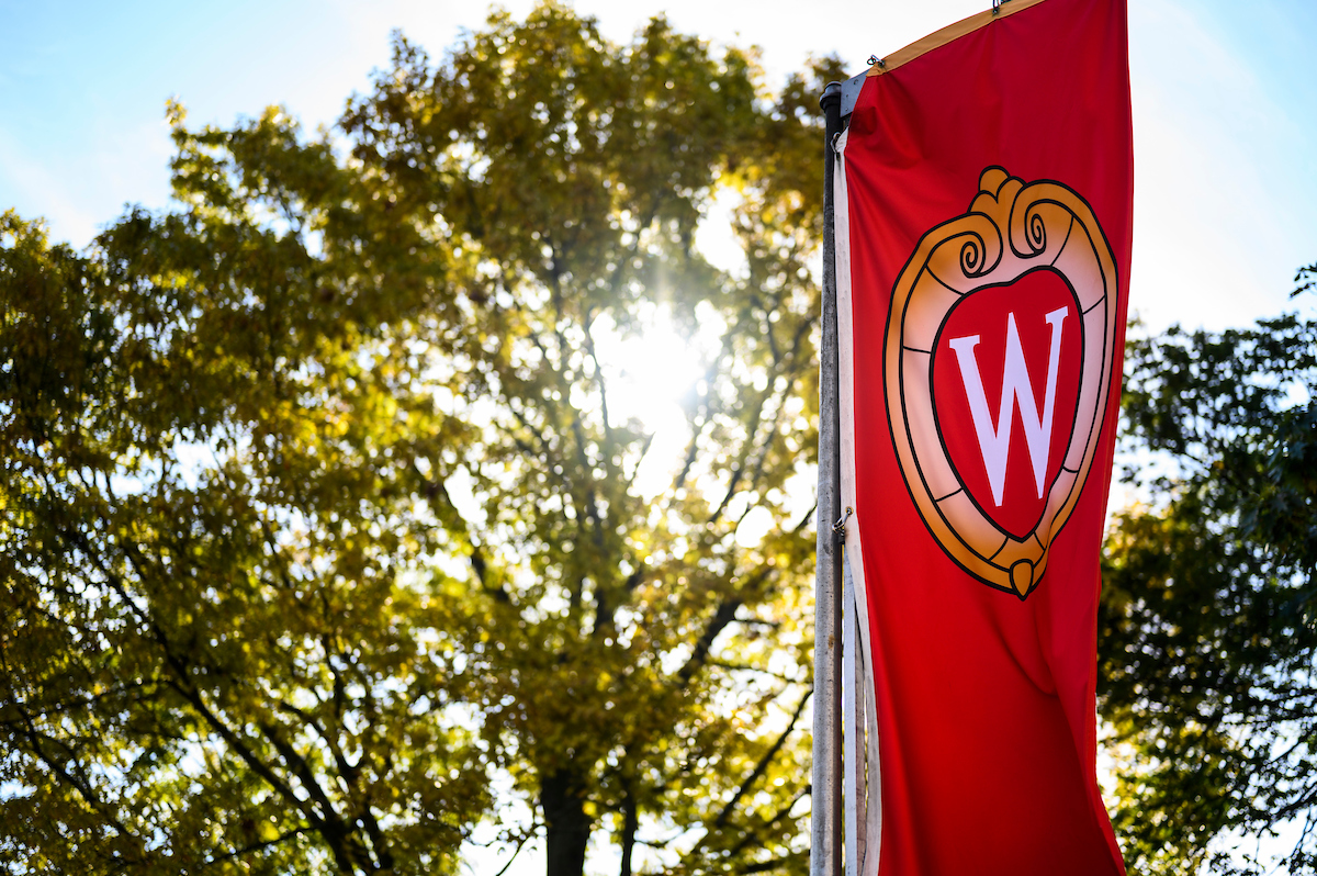 UW crest banner